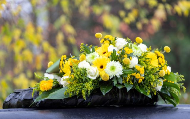 Conoce el significado de las flores